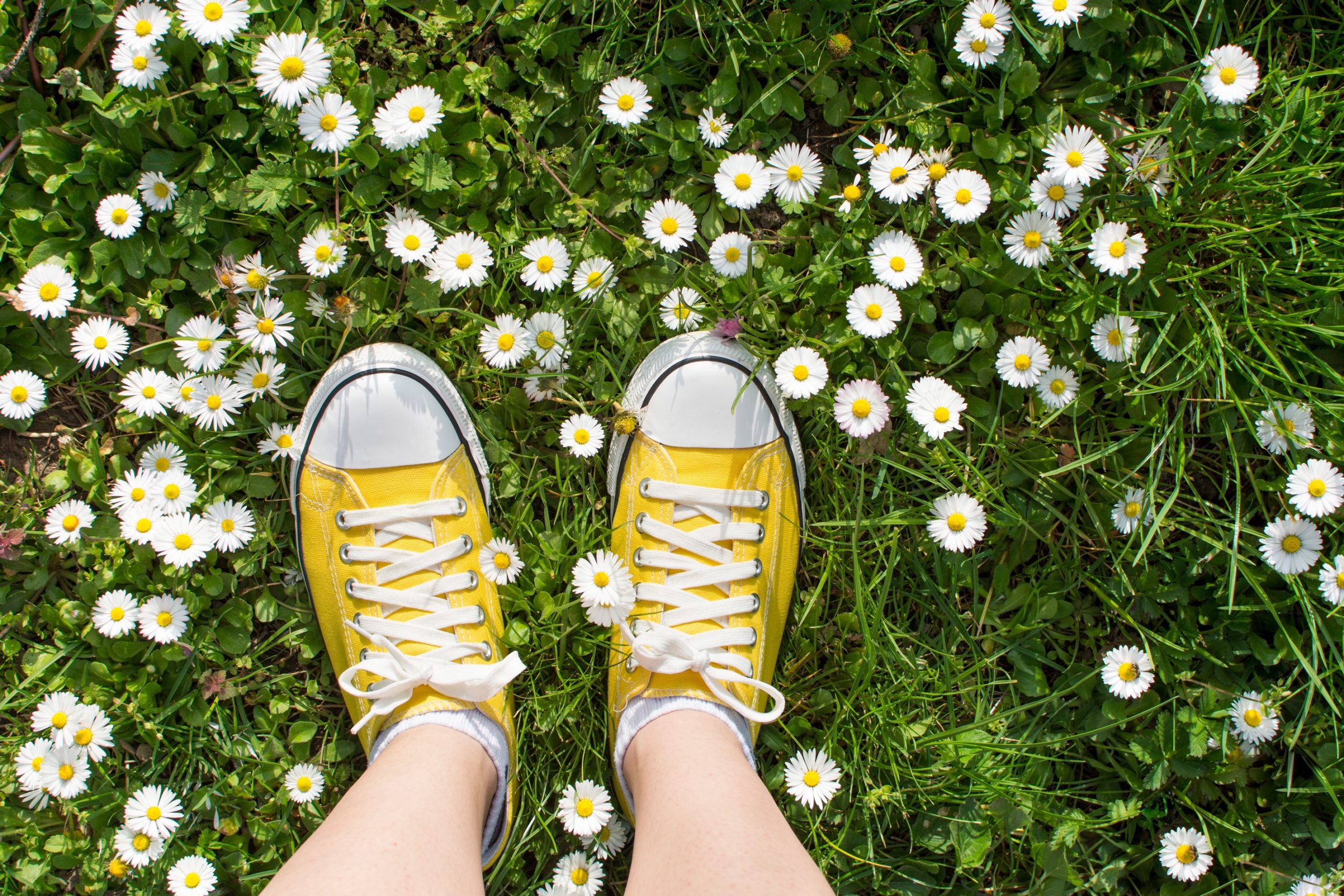 language loop chicago april 2021 class schedule
