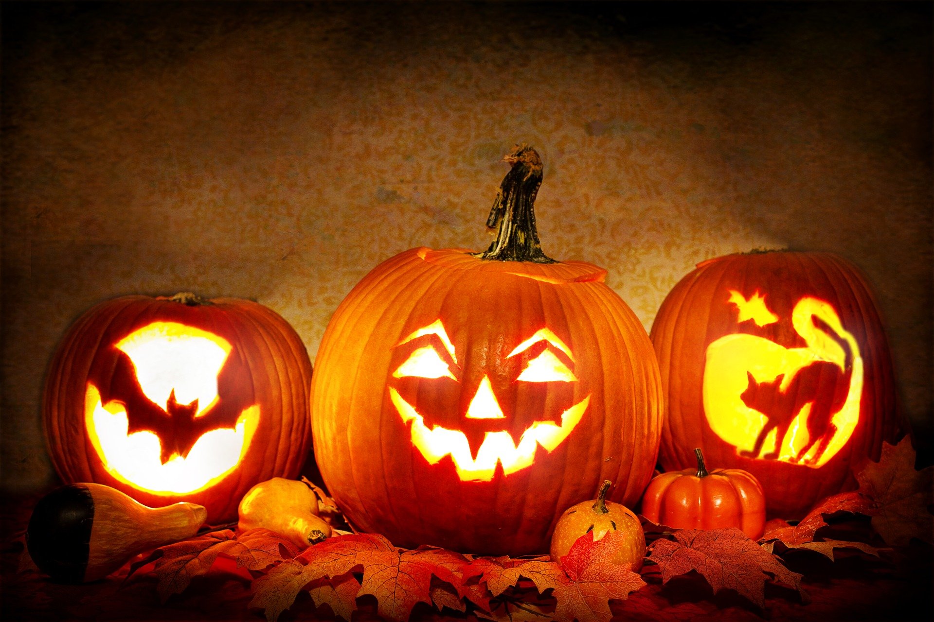 language loop chicago october 2021 class schedule